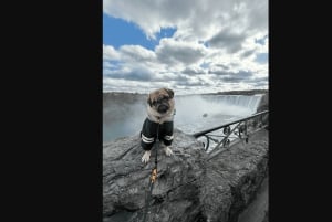 Toronto: Niagara Falls Bus Tour with Maple Tasting and NOTL