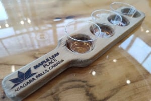 トロント：ナイアガラの滝ガイド付き日帰りツアー、ボート＆スカイロンタワー