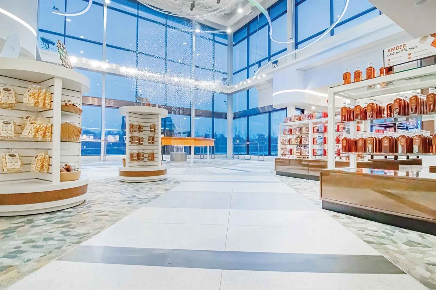 トロント：ナイアガラ シティ クルーズ付きナイアガラの滝日帰りツアー