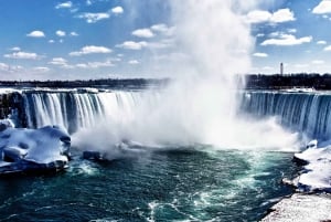 Toronto: Dagstur til Niagara Falls med Niagara City Cruise