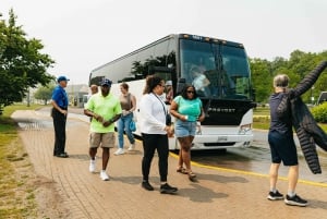 Toronto: Cataratas do Niágara com adega, cruzeiro opcional e almoço