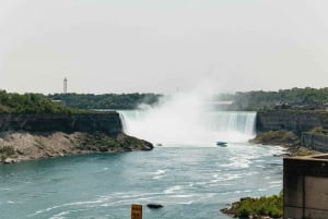 Toronto: Cataratas do Niágara com adega, cruzeiro opcional e almoço