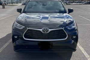 Toronto: Tagestour zu den Niagarafällen mit Fahrer