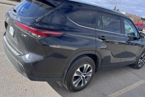 Toronto: Tagestour zu den Niagarafällen mit Fahrer