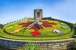 Toronto: całodniowa wycieczka z przewodnikiem do wodospadu Niagara i degustacja wina