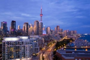 Toronto: całodniowa wycieczka z przewodnikiem do wodospadu Niagara i degustacja wina
