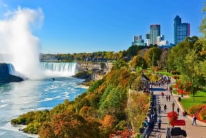 Toronto: całodniowa wycieczka z przewodnikiem do wodospadu Niagara i degustacja wina