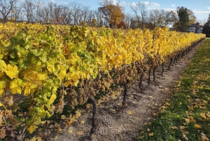 Toronto: privétour op maat naar de Niagarawatervallen