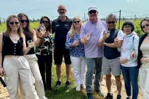 Toronto: Niagara-on-the-Lake, vinsmaking og sjokoladetur