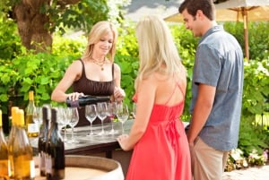 Toronto: Niagara Wineries Tasting Tour & Optional Lunch