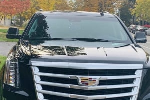 Toronto: Pearson Flygplats till Oakville Privat Transfer