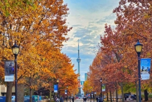 Торонто – Частная двухчасовая фотосессия с профессиональным фотографом