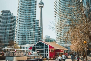 Торонто – Частная двухчасовая фотосессия с профессиональным фотографом