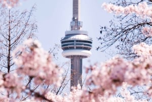 Toronto: City Tour particular com CN Tower e cruzeiro