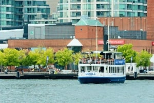 Toronto: City Tour particular com CN Tower e cruzeiro