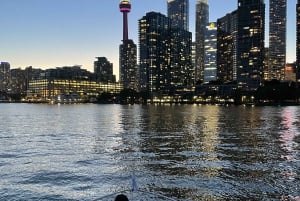 Toronto: Private Luxury Yacht Sightseeing Cruise & Prosecco