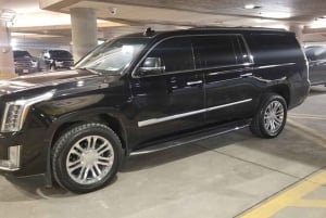 Toronto: Transfer privato dall'aeroporto Pearson alle Cascate del Niagara