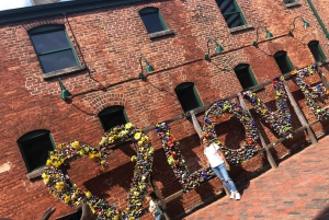 Toronto: tour privado a pie con un local