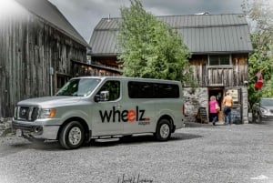 Toronto: Private Transfer for 1-10 Passengers to Downtown