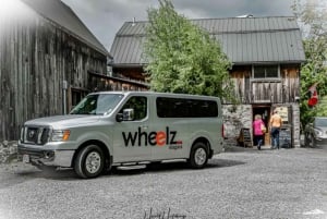 Toronto: Private Transfer for 1-10 Passengers to Downtown