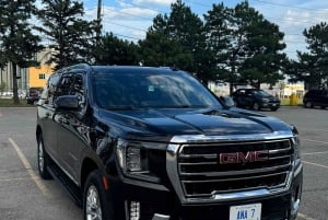 Toronto: Privé Transfer naar Niagara Falls