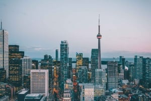 Toronto: Tour privato a piedi con guida (Tour privato)