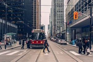 Toronto: Tour privato a piedi con guida (Tour privato)