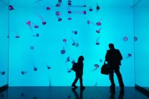 トロント：カナダ・リプリー水族館入場券