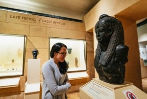 Toronto Ticket de entrada al Museo Real de Ontario