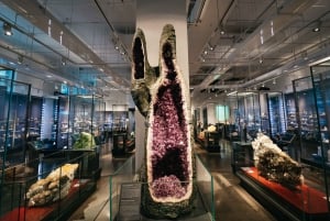 Toronto Ticket de entrada al Museo Real de Ontario