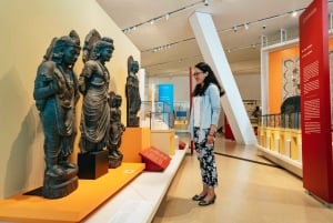 Toronto Ticket de entrada al Museo Real de Ontario