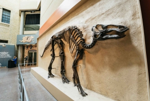 Toronto Ticket de entrada al Museo Real de Ontario