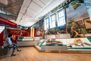 Toronto Ticket de entrada al Museo Real de Ontario