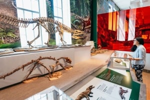 Toronto Ticket de entrada al Museo Real de Ontario