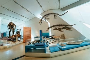 Toronto Ticket de entrada al Museo Real de Ontario