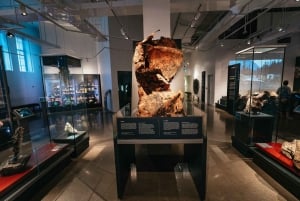 Toronto Ticket de entrada al Museo Real de Ontario