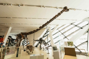 Toronto Ticket de entrada al Museo Real de Ontario