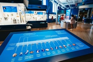 Toronto Ticket de entrada al Museo Real de Ontario