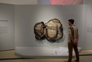 Toronto Ticket de entrada al Museo Real de Ontario