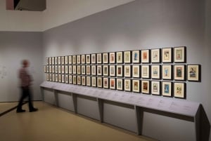 Toronto Ticket de entrada al Museo Real de Ontario