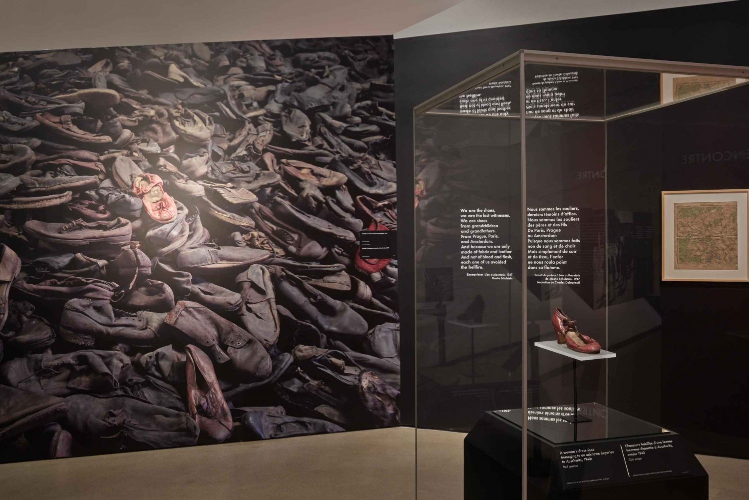Toronto: Royal Ontario Museum Udstillingstur før åbningstid