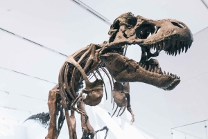 Toronto: Royal Ontario Museum Scavenger Hunt