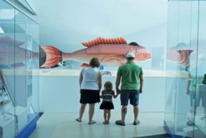 Toronto: Royal Ontario Museum Special Exhibits Voucher