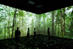 Toronto: Royal Ontario Museum Special Exhibits Voucher