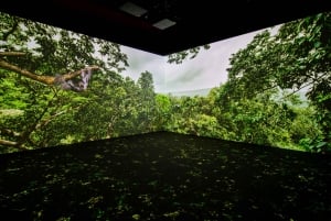 Toronto: Royal Ontario Museum Special Exhibits Voucher