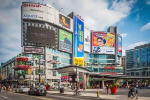 Excursão particular para casais em Toronto: praças movimentadas, parques serenos