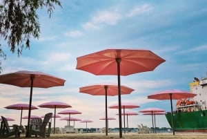 Toronto: Torontossa: Lauantaiaamuna torilta torille polkupyöräretki