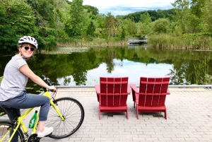 Toronto Waterfront en eilanden begeleide fietstocht