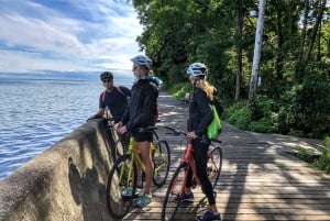 Toronto Waterfront en eilanden begeleide fietstocht