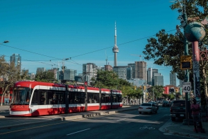 Toronto: Privat byrundtur i liten gruppe med lokal guide
